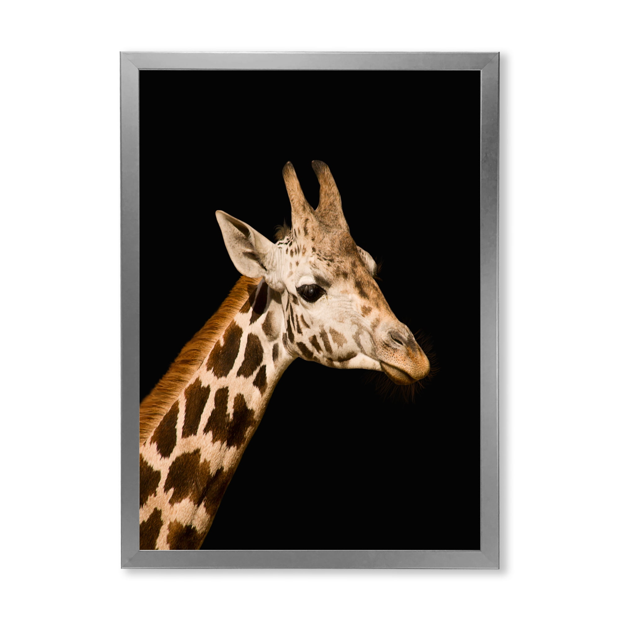 Designart 'Close Up Portrait Of A Giraffe On Black IV' Farmhouse Framed Art Print