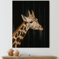 Designart 'Close Up Portrait Of A Giraffe On Black IV' Farmhouse Print on Natural Pine Wood