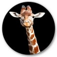 thumbnail image 1 of Designart 'Close Up Portrait Of A Giraffe On Black V' Farmhouse Circle Metal Wall Art 29x29 - Disc of 29, 1 of 5