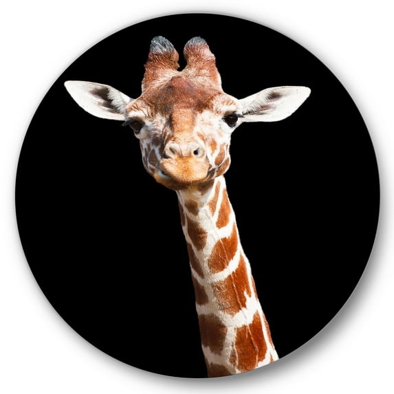 Designart 'Close Up Portrait Of A Giraffe On Black V' Farmhouse Circle Metal Wall Art 29x29 - Disc of 29