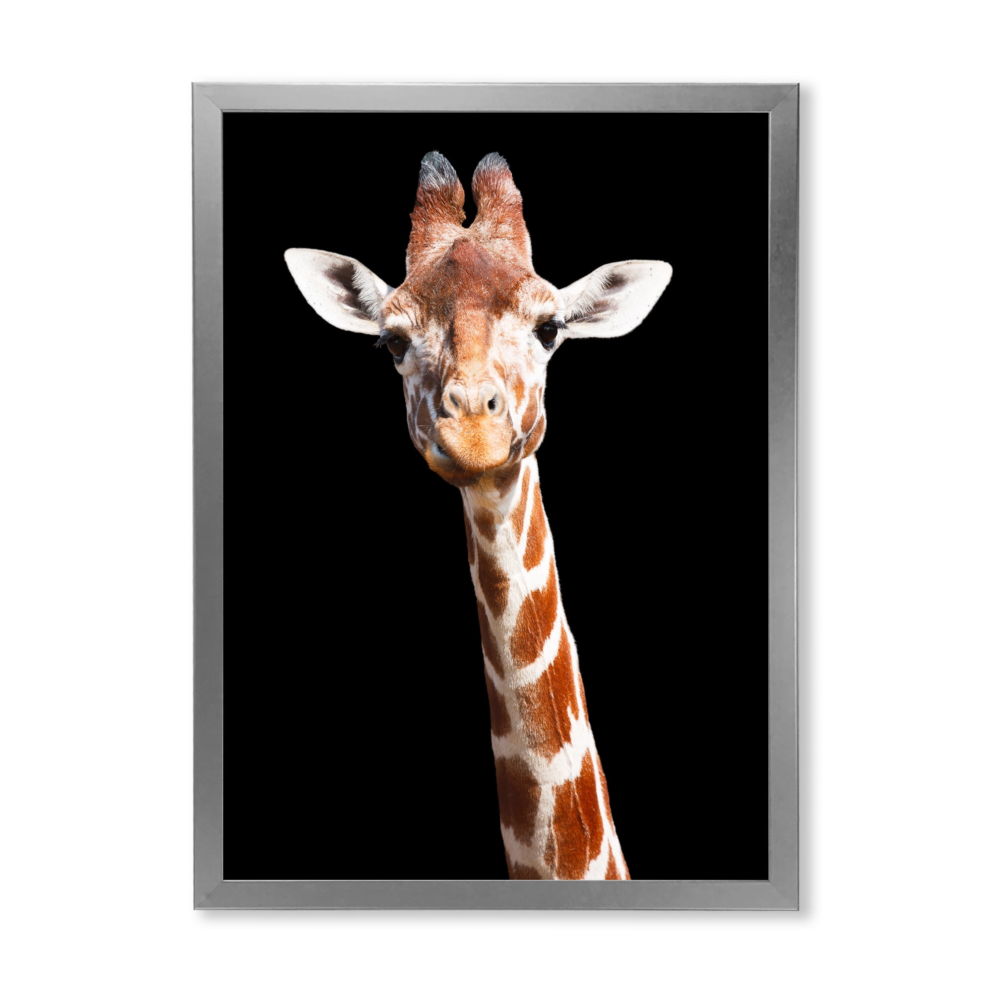 Designart 'Close Up Portrait Of A Giraffe On Black V' Farmhouse Framed Art Print