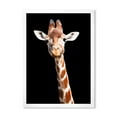 thumbnail image 1 of Designart 'Close Up Portrait Of A Giraffe On Black V' Farmhouse Framed Art Print, 1 of 1