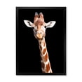 thumbnail image 1 of Designart 'Close Up Portrait Of A Giraffe On Black V' Farmhouse Framed Art Print, 1 of 1