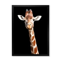 Designart 'Close Up Portrait Of A Giraffe On Black V' Farmhouse Framed Art Print