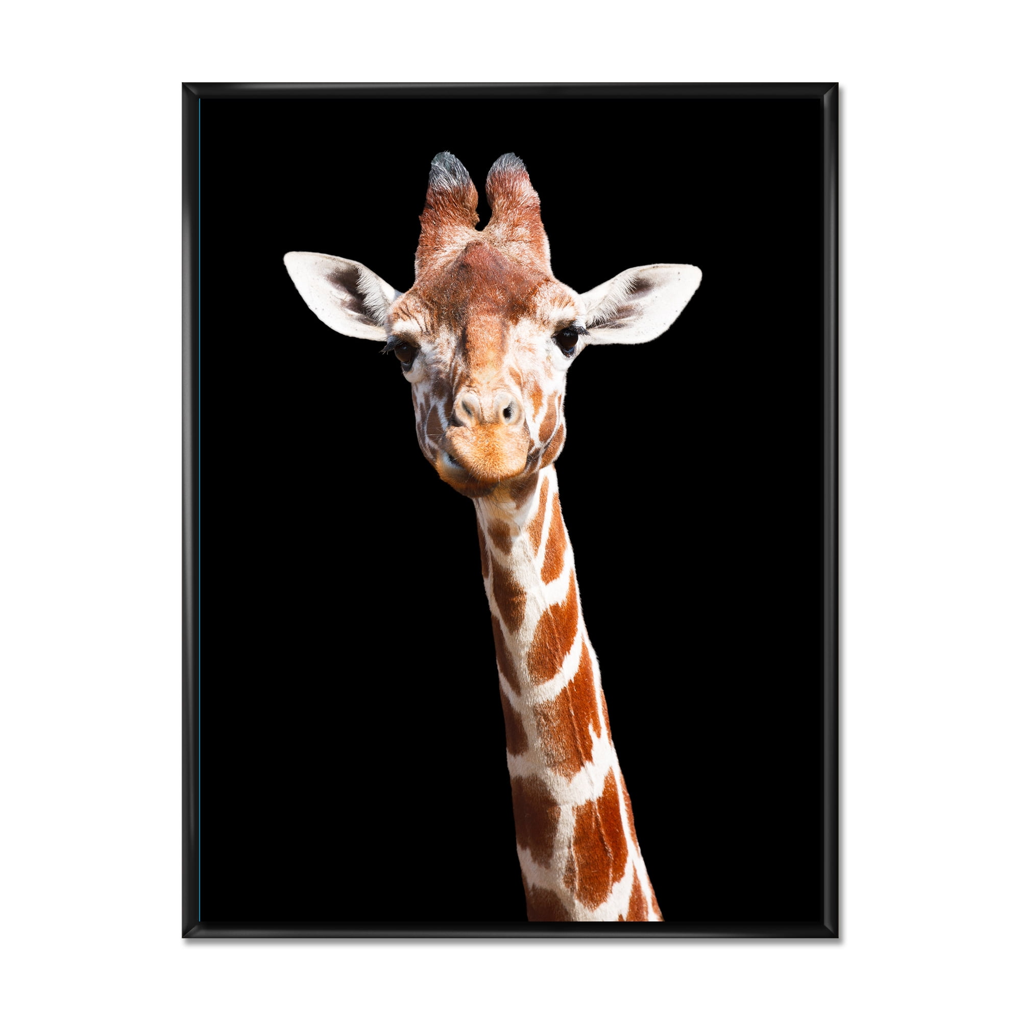 Designart 'Close Up Portrait Of A Giraffe On Black V' Farmhouse Framed Canvas Wall Art Print