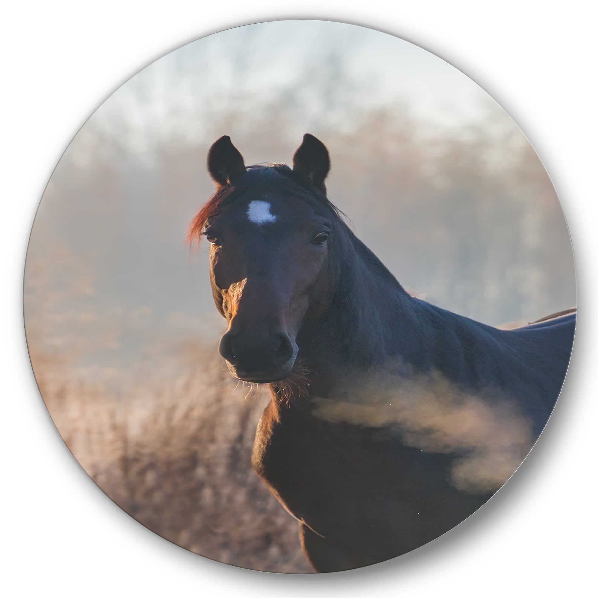 Designart 'Close Up Portrait Of A Horse On An Autumn Morning' Farmhouse Circle Metal Wall Art 29x29 - Disc of 29