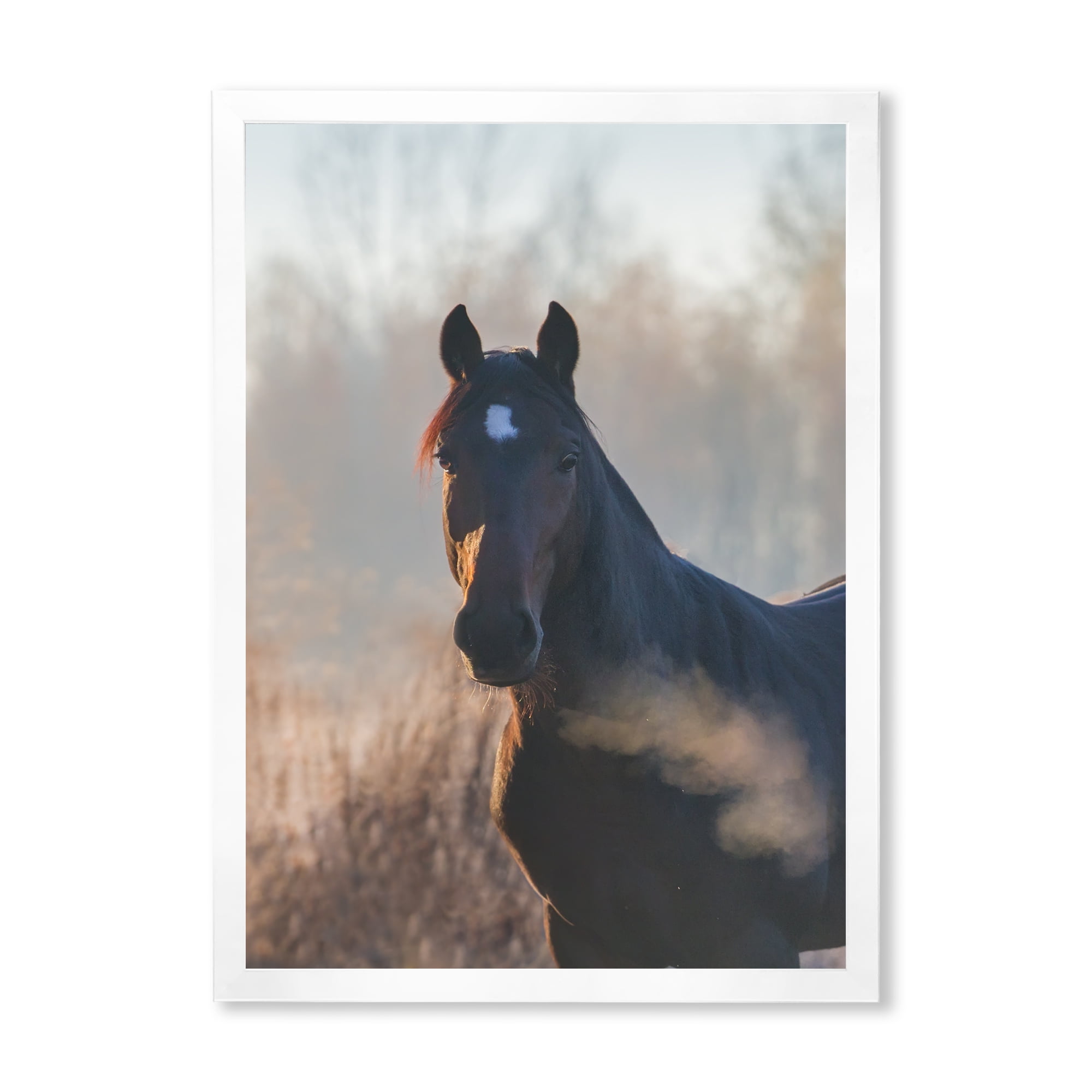 Designart 'Close Up Portrait Of A Horse On An Autumn Morning' Farmhouse Framed Art Print