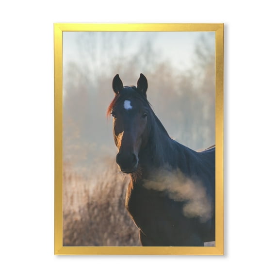 Designart 'Close Up Portrait Of A Horse On An Autumn Morning' Farmhouse Framed Art Print