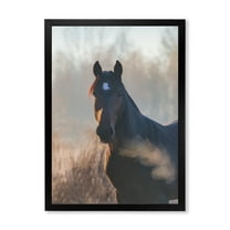 Designart 'Close Up Portrait Of A Horse On An Autumn Morning' Farmhouse Framed Art Print