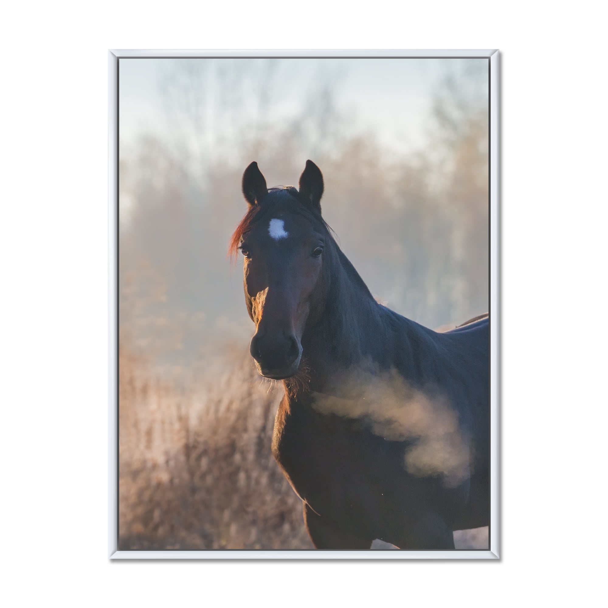 Designart 'Close Up Portrait Of A Horse On An Autumn Morning' Farmhouse Framed Canvas Wall Art Print