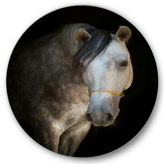 Designart 'Close Up Portrait Of A White Horse' Farmhouse Circle Metal Wall Art 36x36 - Disc of 36