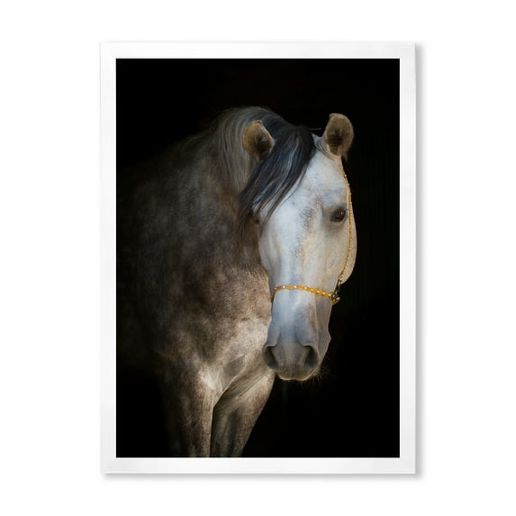 Designart 'Close Up Portrait Of A White Horse' Farmhouse Framed Art Print