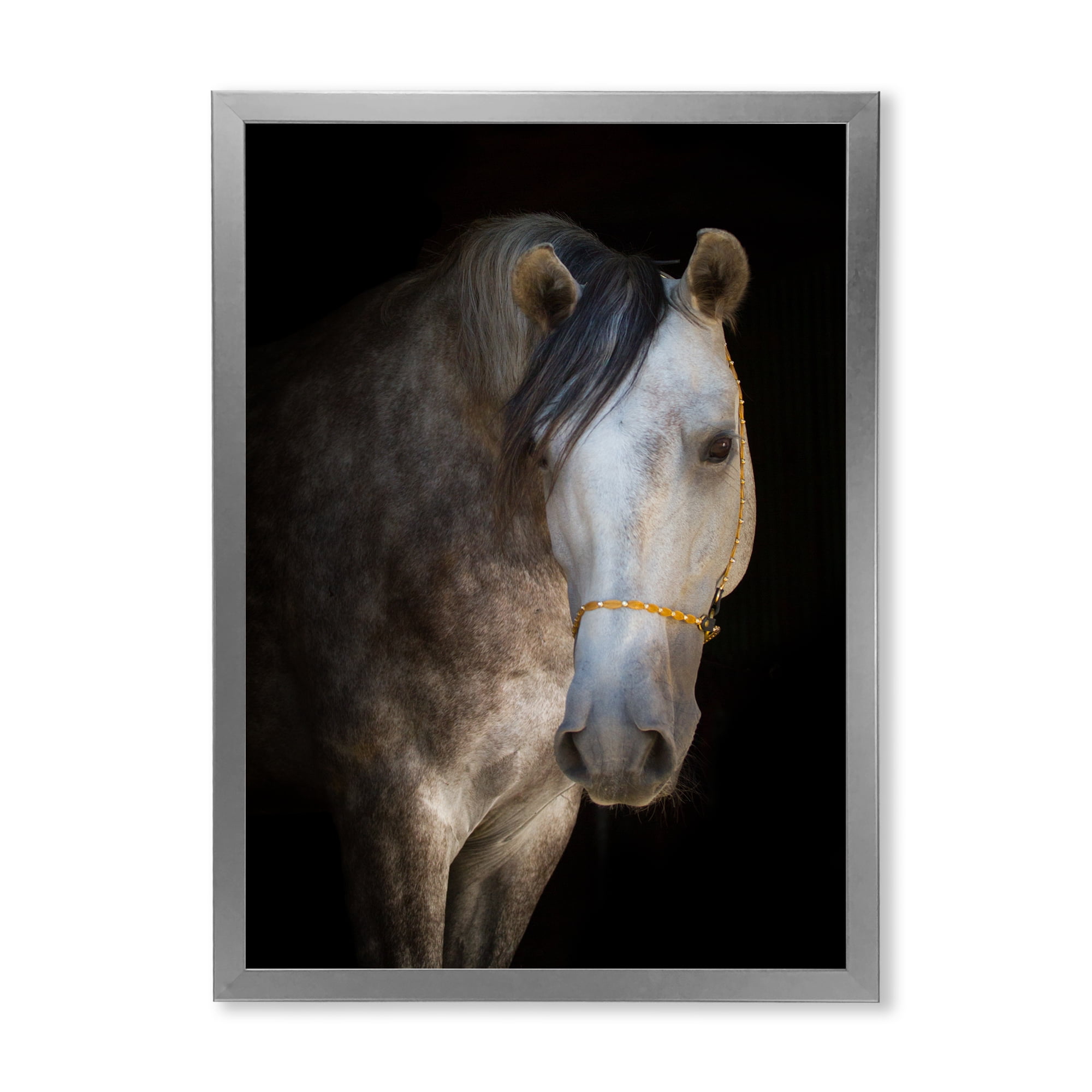 Designart 'Close Up Portrait Of A White Horse' Farmhouse Framed Art Print