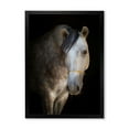 thumbnail image 1 of Designart 'Close Up Portrait Of A White Horse' Farmhouse Framed Art Print, 1 of 4