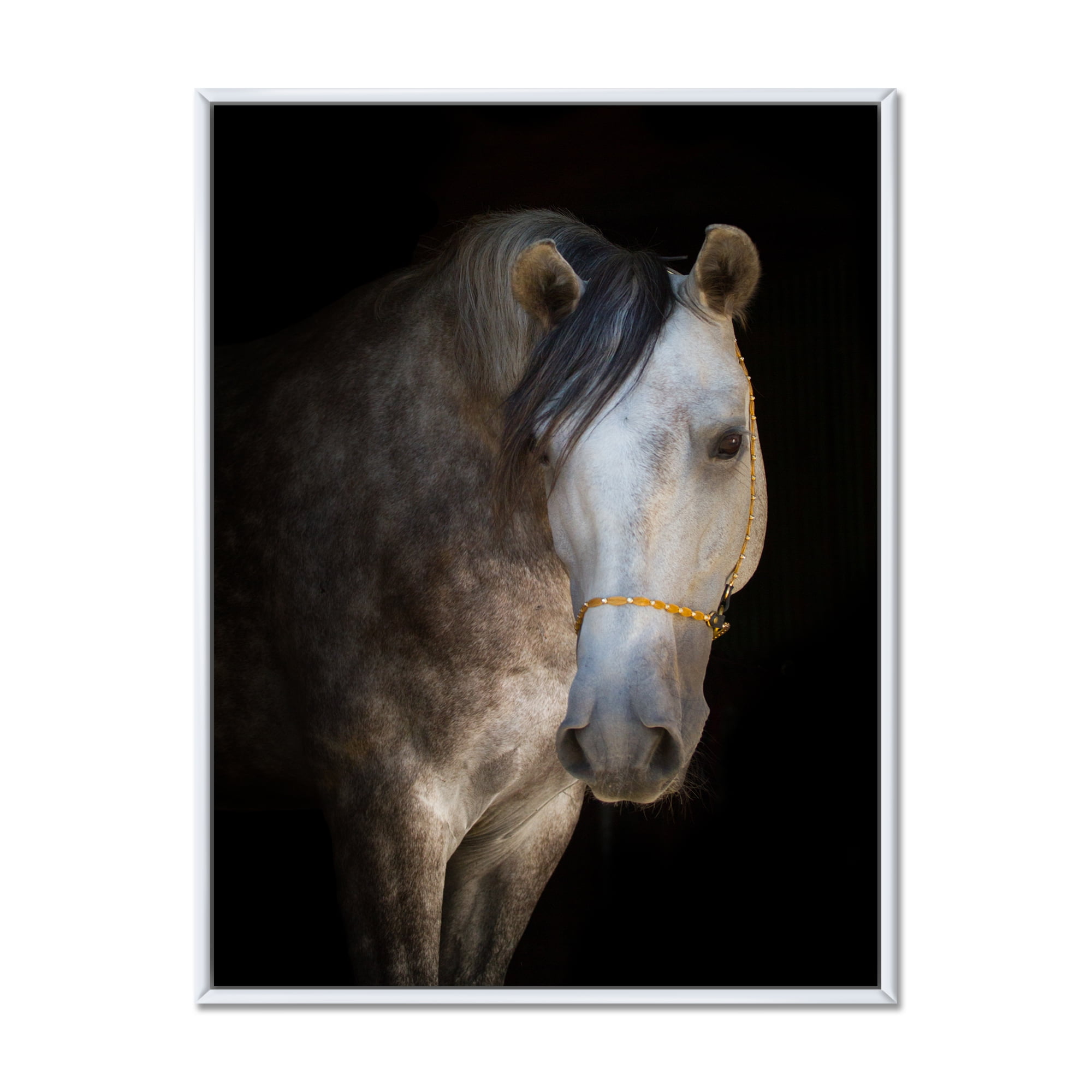 Designart 'Close Up Portrait Of A White Horse' Farmhouse Framed Canvas Wall Art Print