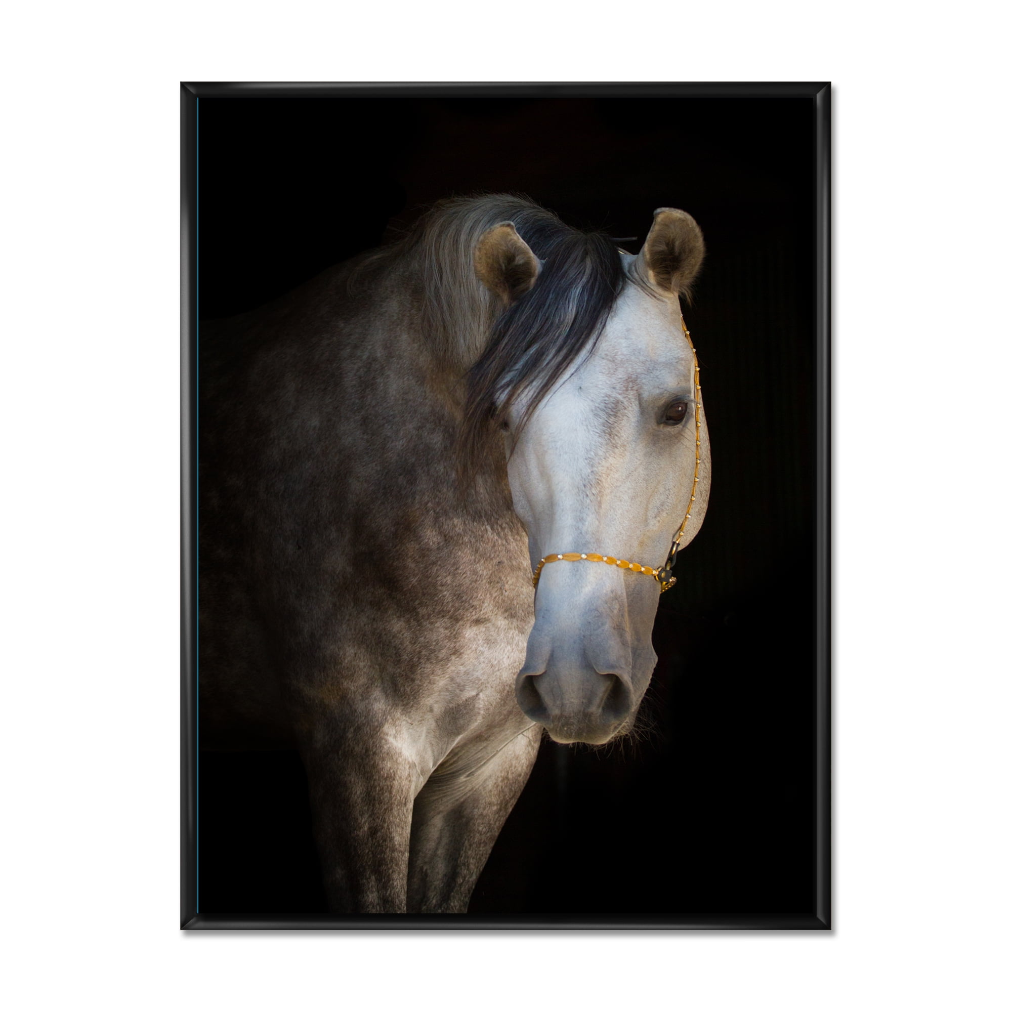 Designart 'Close Up Portrait Of A White Horse' Farmhouse Framed Canvas Wall Art Print