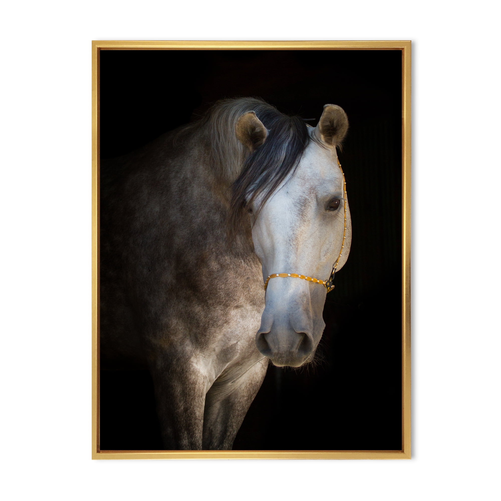 Designart 'Close Up Portrait Of A White Horse' Farmhouse Framed Canvas Wall Art Print