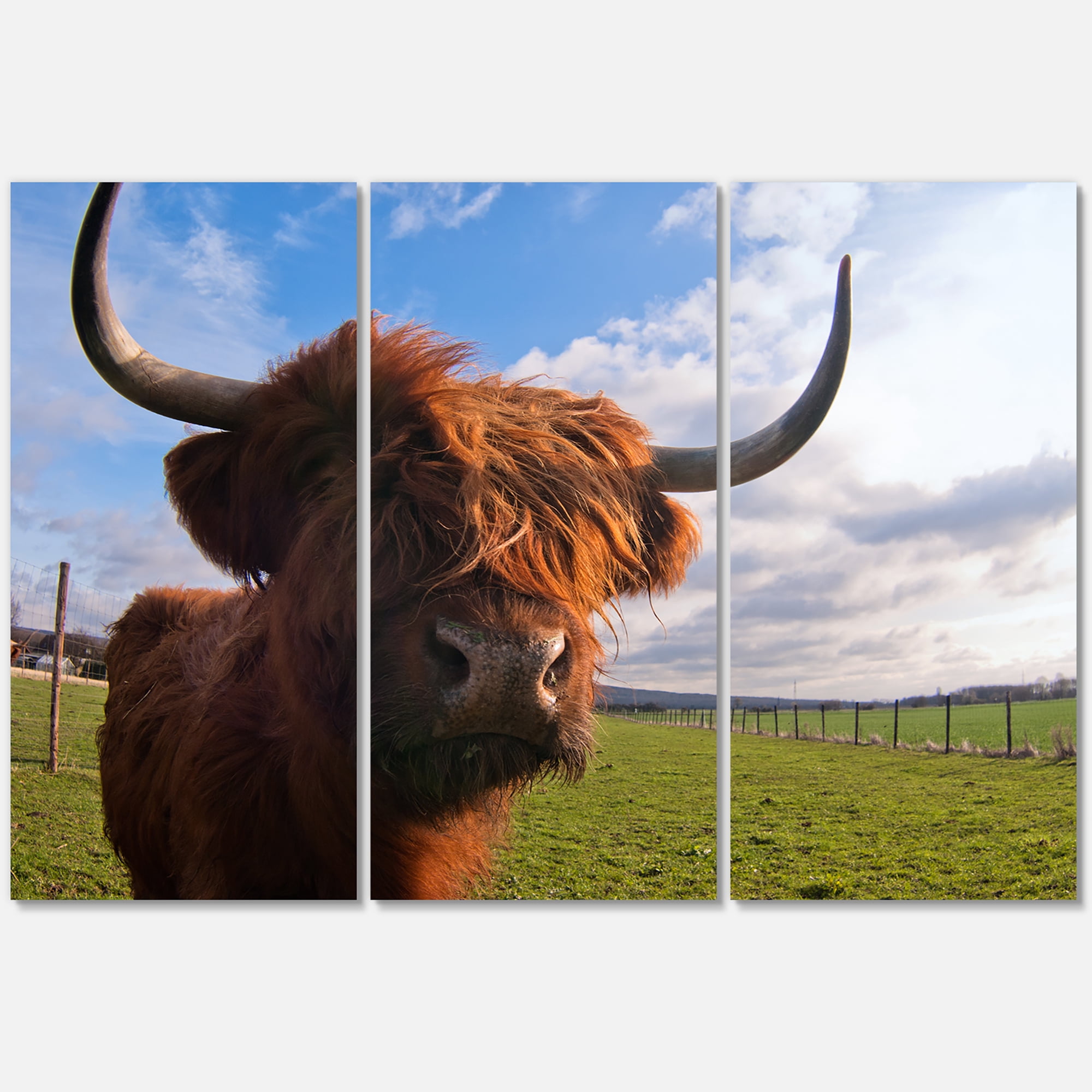 Designart ' Close Up Portrait Of A Yak ' Farmhouse Canvas Wall Art Print