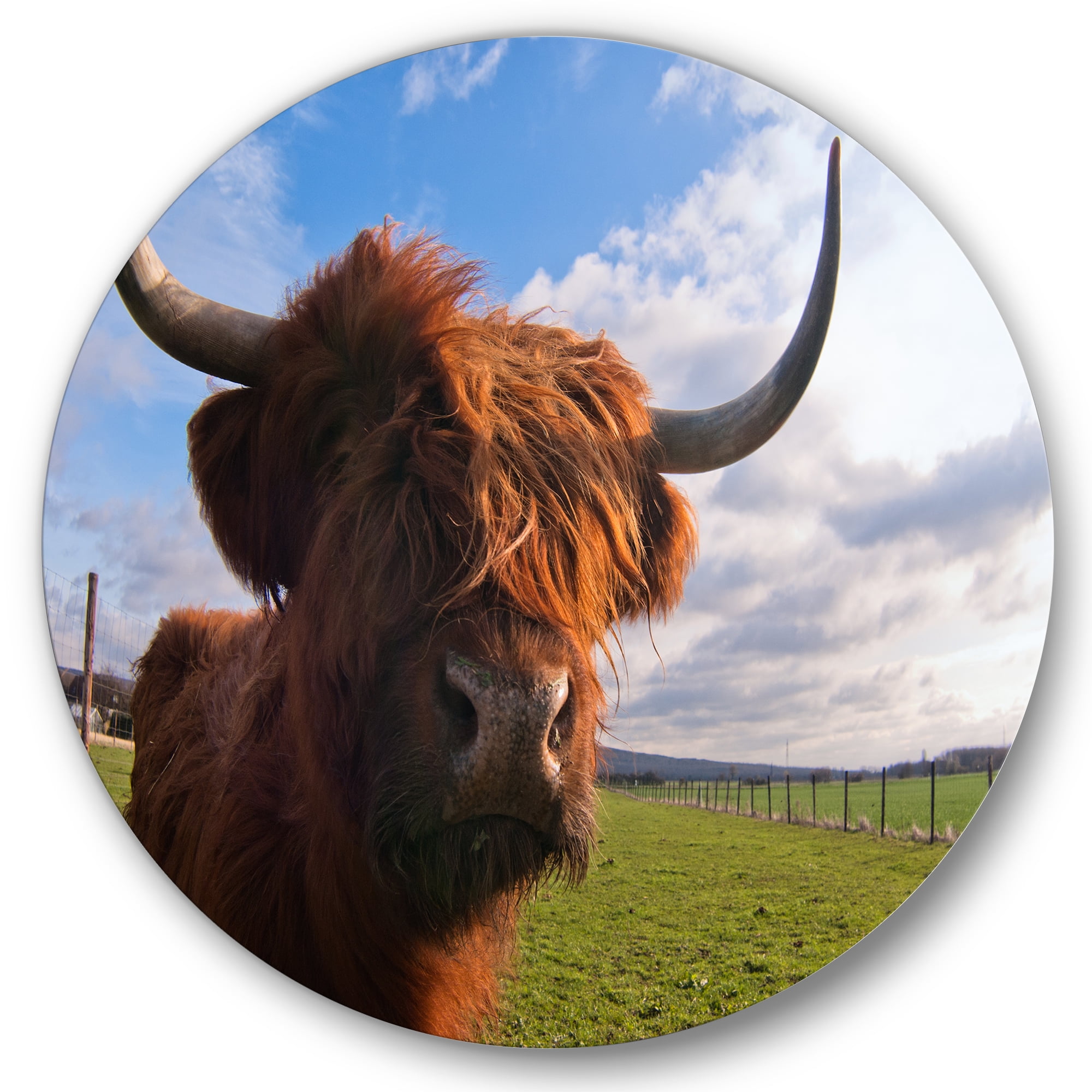 Designart 'Close Up Portrait Of A Yak' Farmhouse Circle Metal Wall Art 11x11 - Disc of 11