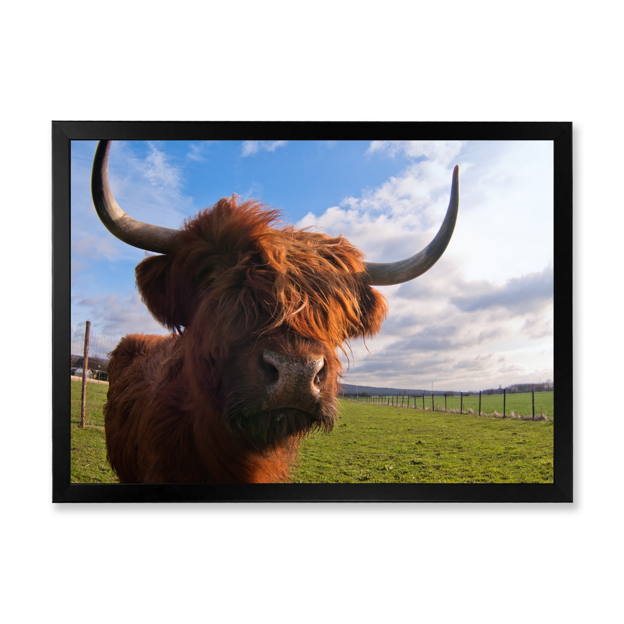 Designart 'Close Up Portrait Of A Yak' Farmhouse Framed Art Print