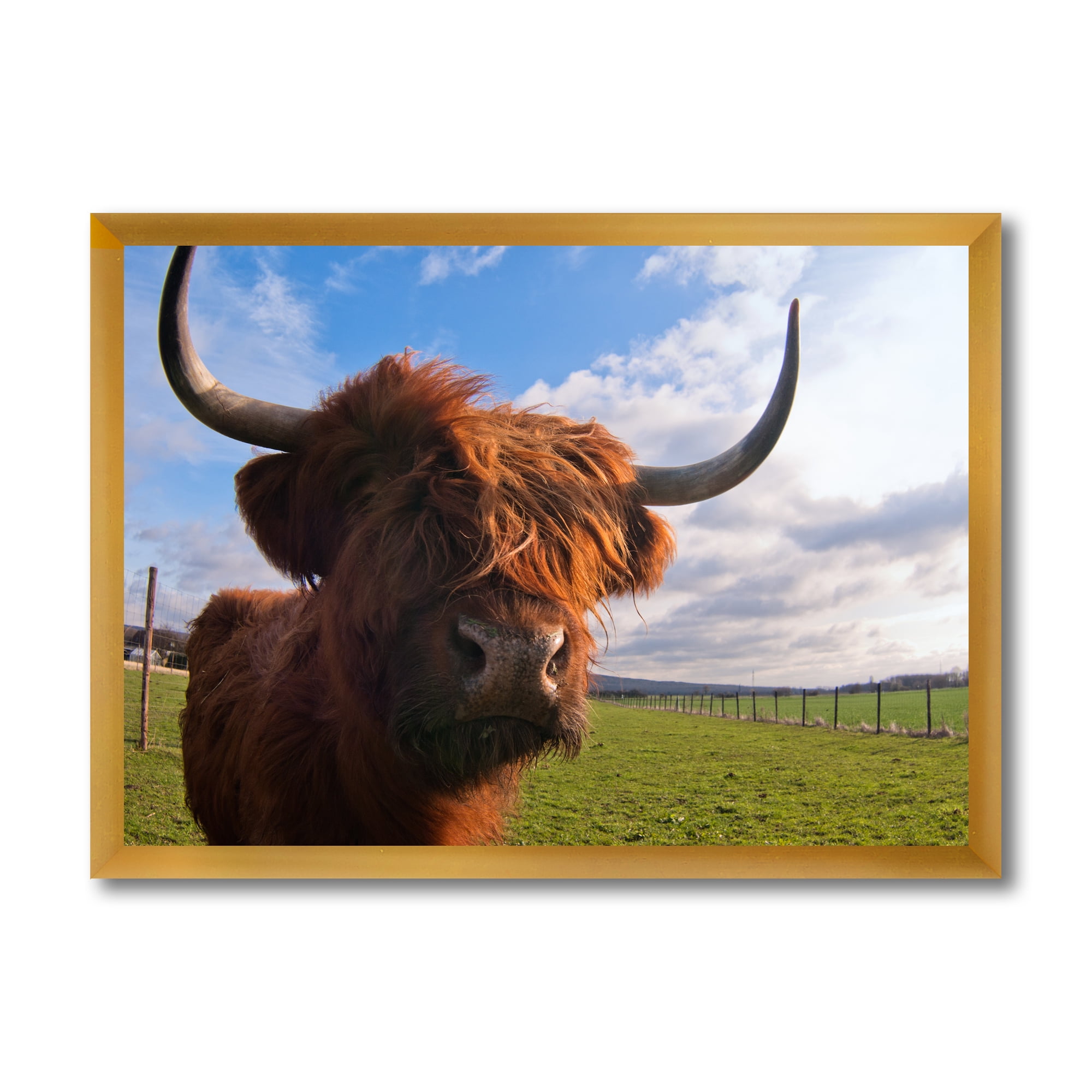 Designart 'Close Up Portrait Of A Yak' Farmhouse Framed Art Print