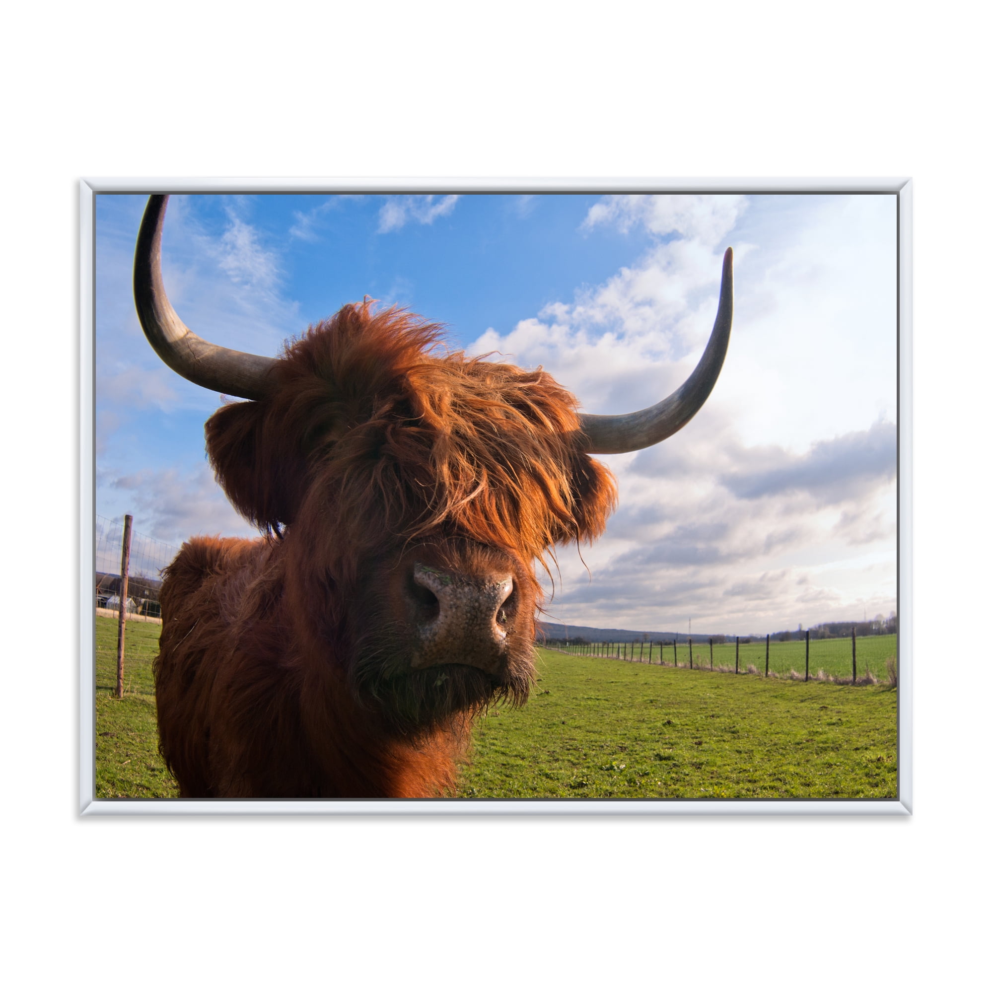 Designart 'Close Up Portrait Of A Yak' Farmhouse Framed Canvas Wall Art Print