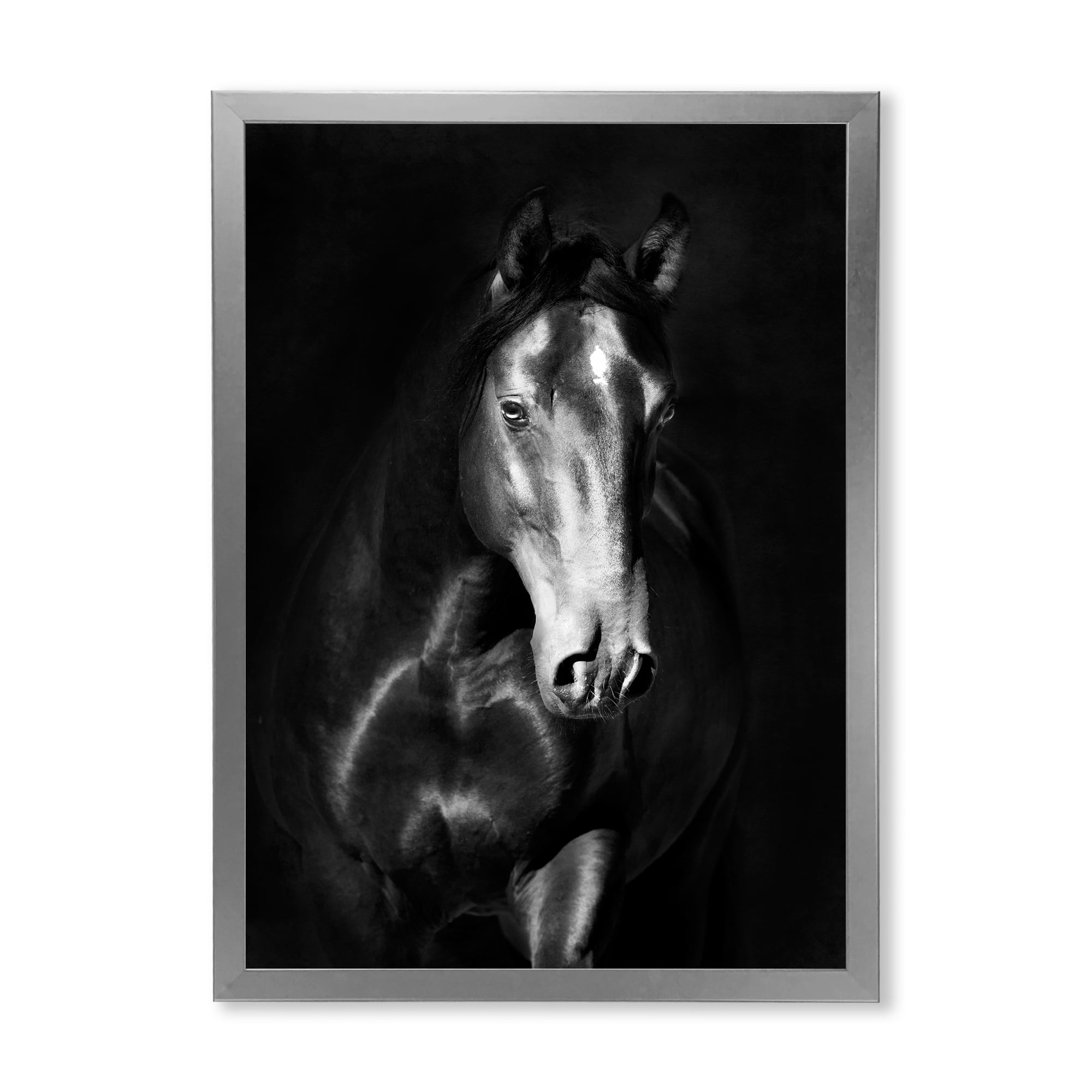 Designart 'Close Up Portrait Of Black Kladruby Horse' Farmhouse Framed Art Print