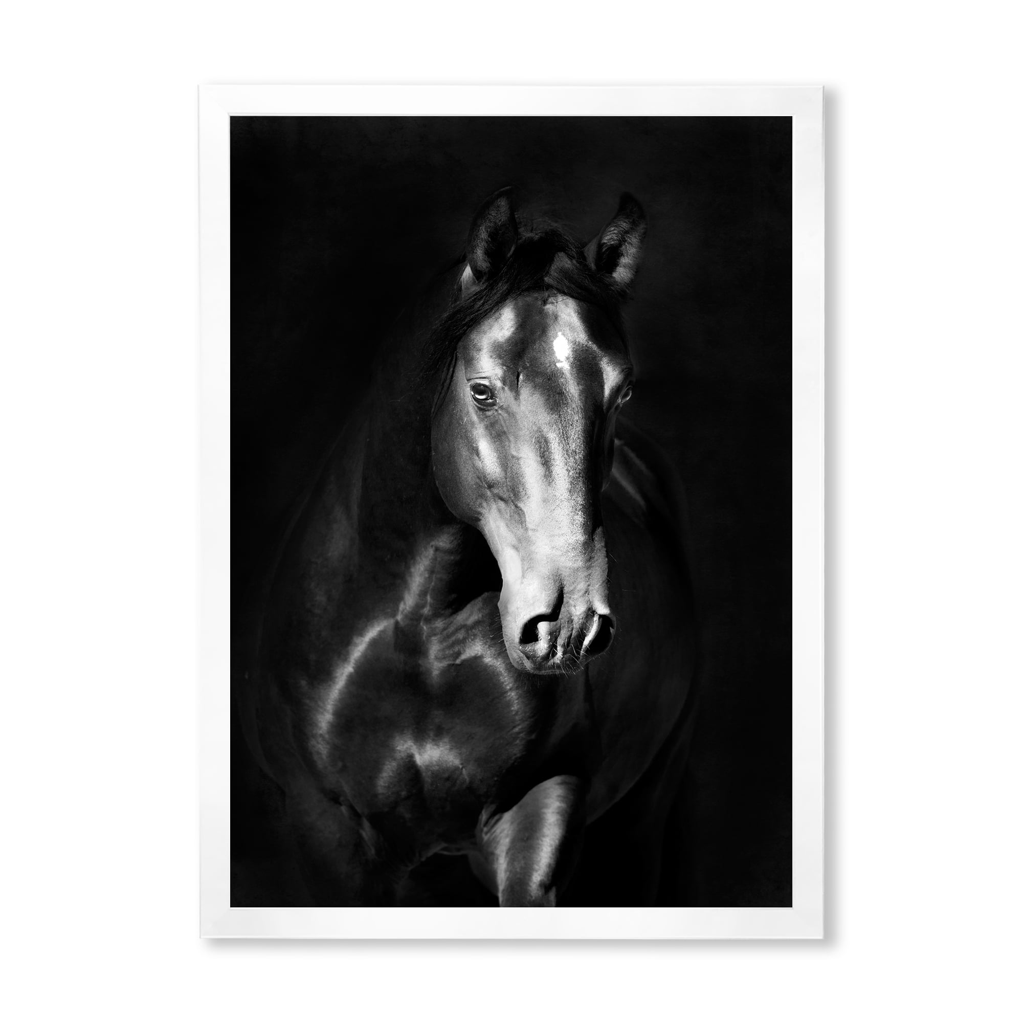 Designart 'Close Up Portrait Of Black Kladruby Horse' Farmhouse Framed Art Print