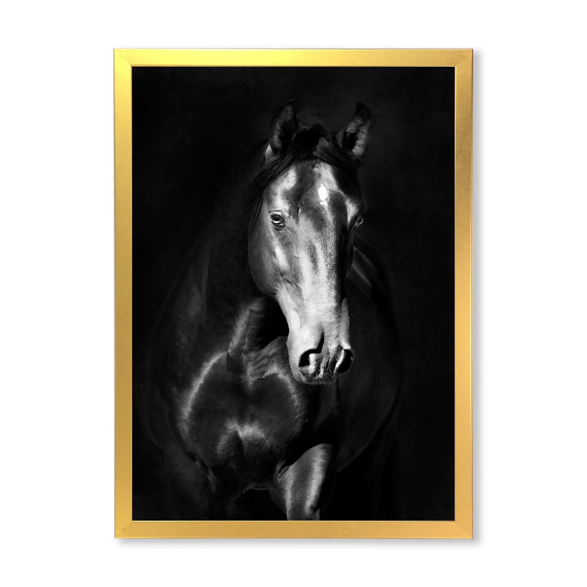 Designart 'Close Up Portrait Of Black Kladruby Horse' Farmhouse Framed Art Print