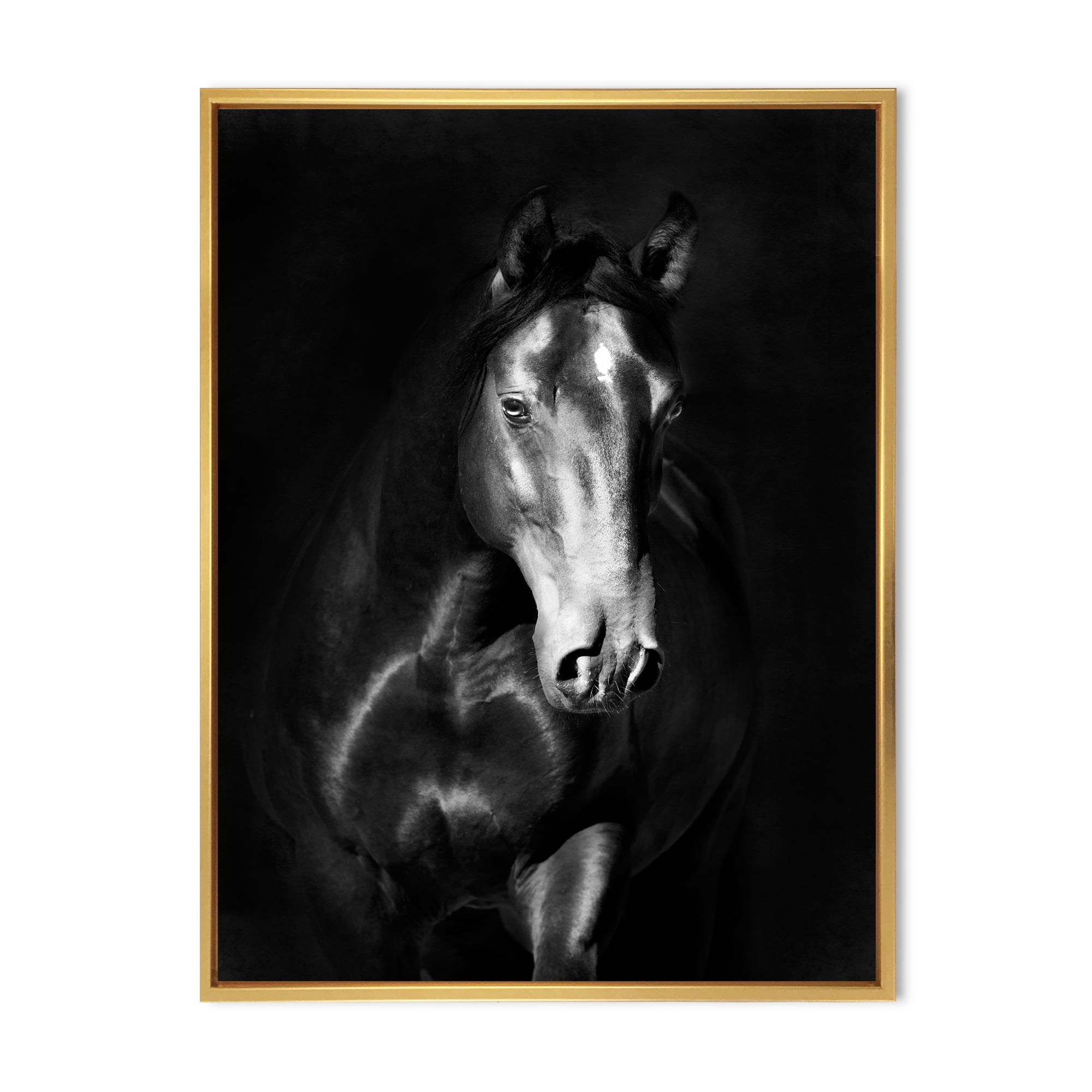 Designart 'Close Up Portrait Of Black Kladruby Horse' Farmhouse Framed Canvas Wall Art Print