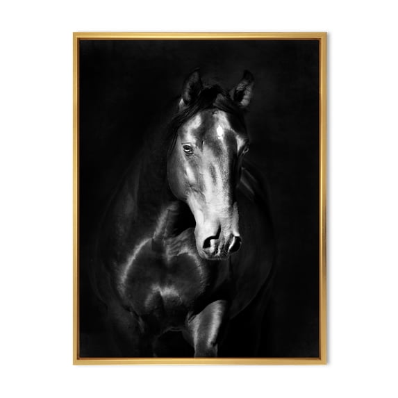 Designart 'Close Up Portrait Of Black Kladruby Horse' Farmhouse Framed Canvas Wall Art Print
