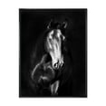 thumbnail image 1 of Designart 'Close Up Portrait Of Black Kladruby Horse' Farmhouse Framed Canvas Wall Art Print, 1 of 5