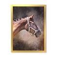 thumbnail image 1 of Designart 'Close Up Portrait Of Brown Horse' Farmhouse Framed Art Print, 1 of 4