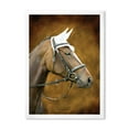 thumbnail image 1 of Designart 'Close Up Portrait Of Brown Horse With White Ears' Farmhouse Framed Art Print, 1 of 4