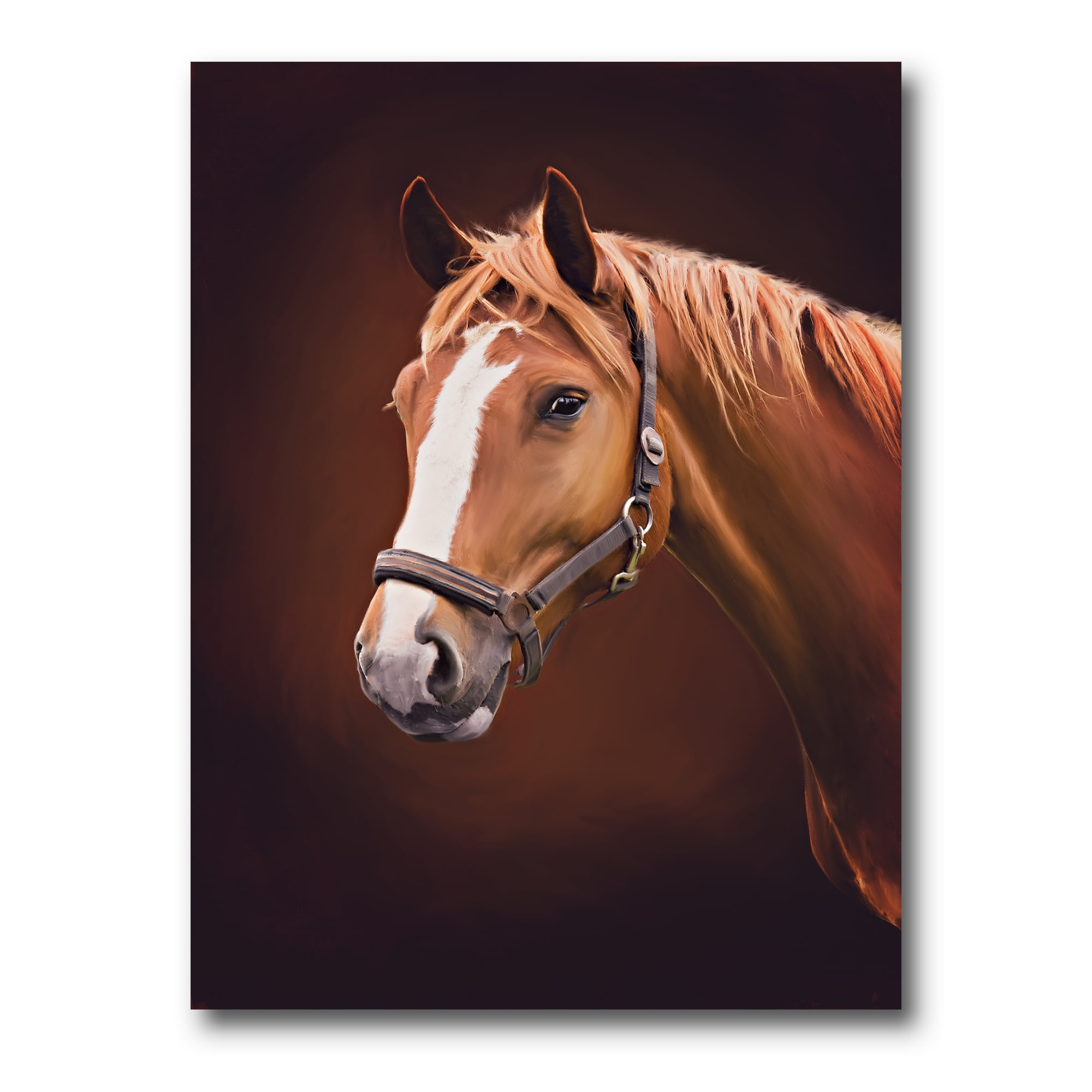 Designart ' Close Up Portrait Of Brown Horse With White Nose II ' Farmhouse Canvas Wall Art Print