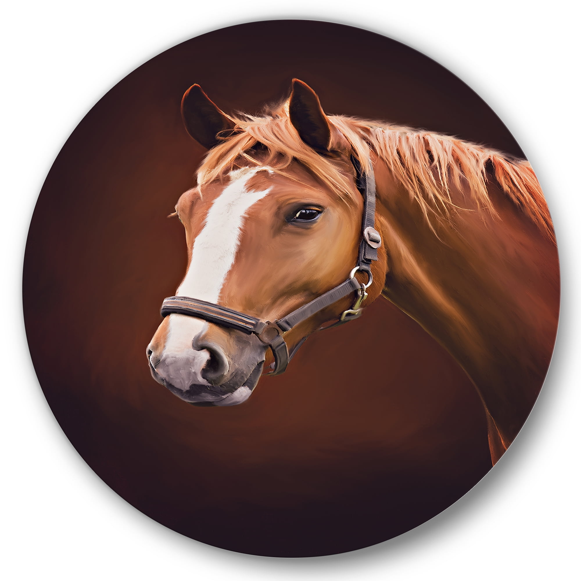 Designart 'Close Up Portrait Of Brown Horse With White Nose II' Farmhouse Circle Metal Wall Art 29x29 - Disc of 29
