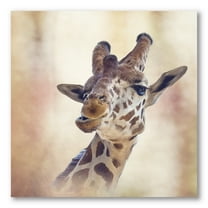 Designart ' Close Up Portrait of A Giraffe VI ' Farmhouse Canvas Wall Art Print