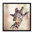 thumbnail image 1 of Designart 'Close Up Portrait of A Giraffe VI' Farmhouse Framed Art Print, 1 of 4