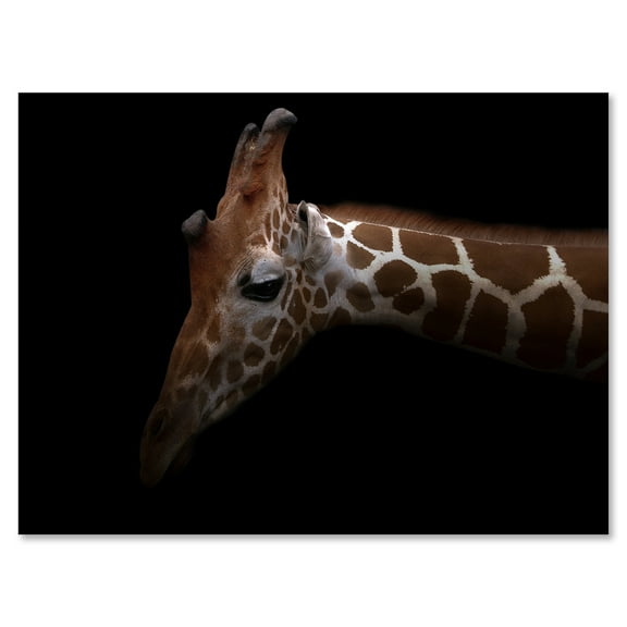 Designart ' Close Up Portrait of A Giraffe VIII ' Farmhouse Canvas Wall Art Print