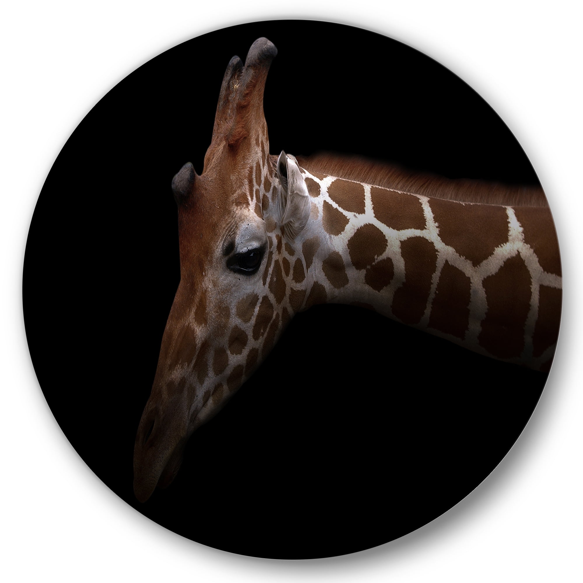 Designart 'Close Up Portrait of A Giraffe VIII' Farmhouse Circle Metal Wall Art 36x36 - Disc of 36