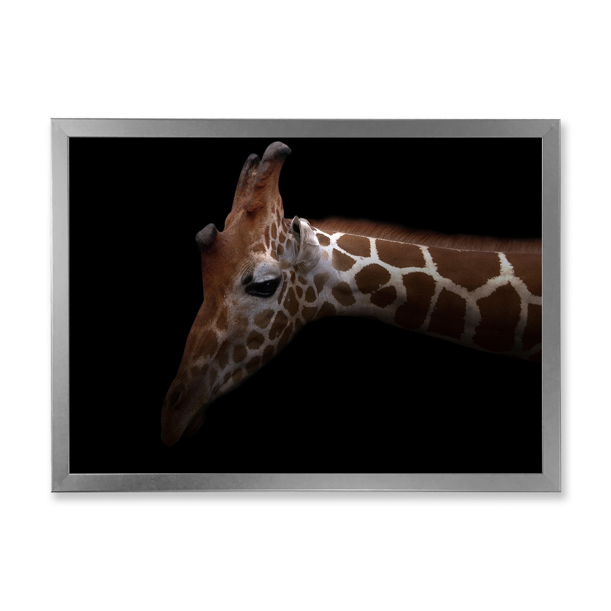 Designart 'Close Up Portrait of A Giraffe VIII' Farmhouse Framed Art Print