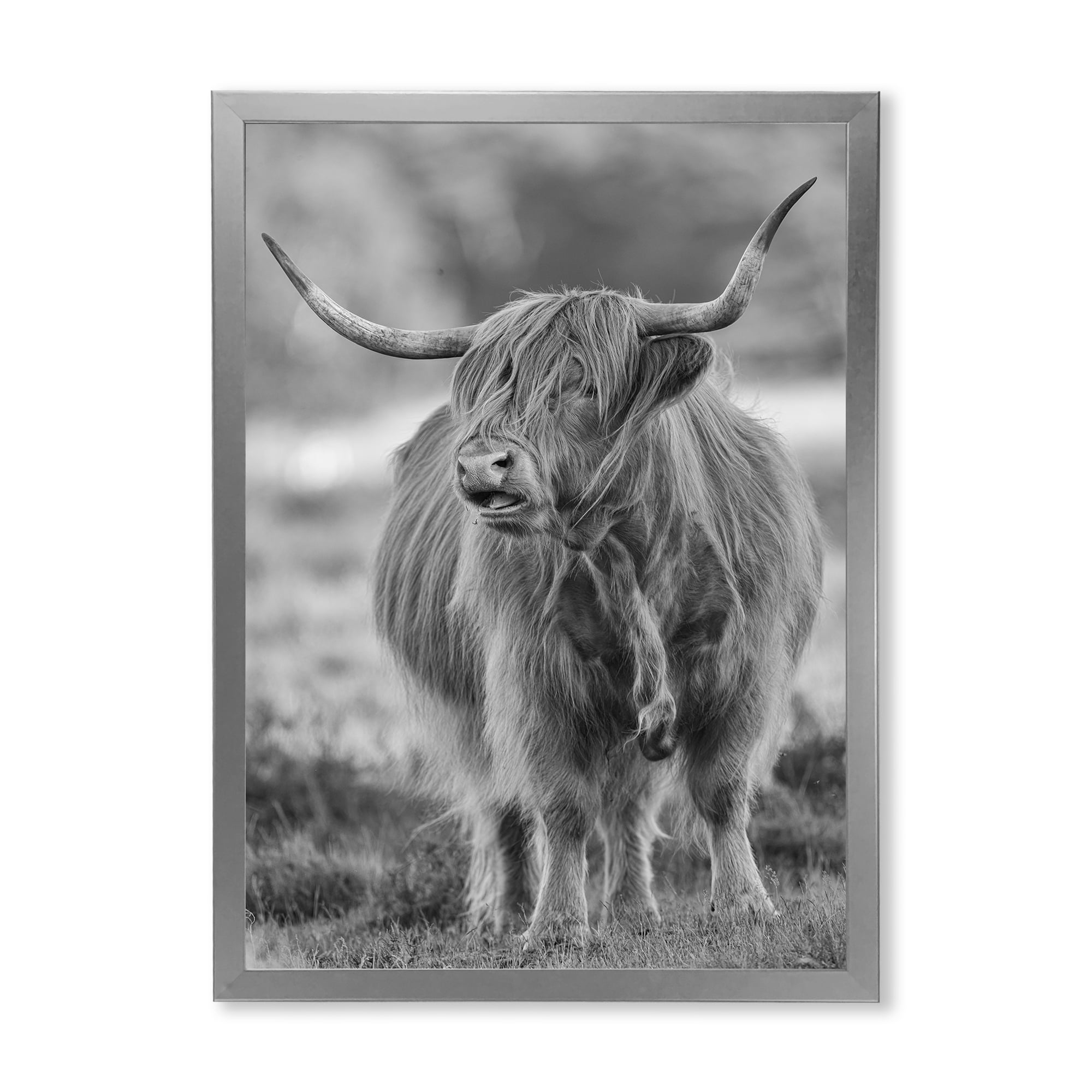 Designart 'Close Up View of Monochrome Bull' Farmhouse Framed Art Print