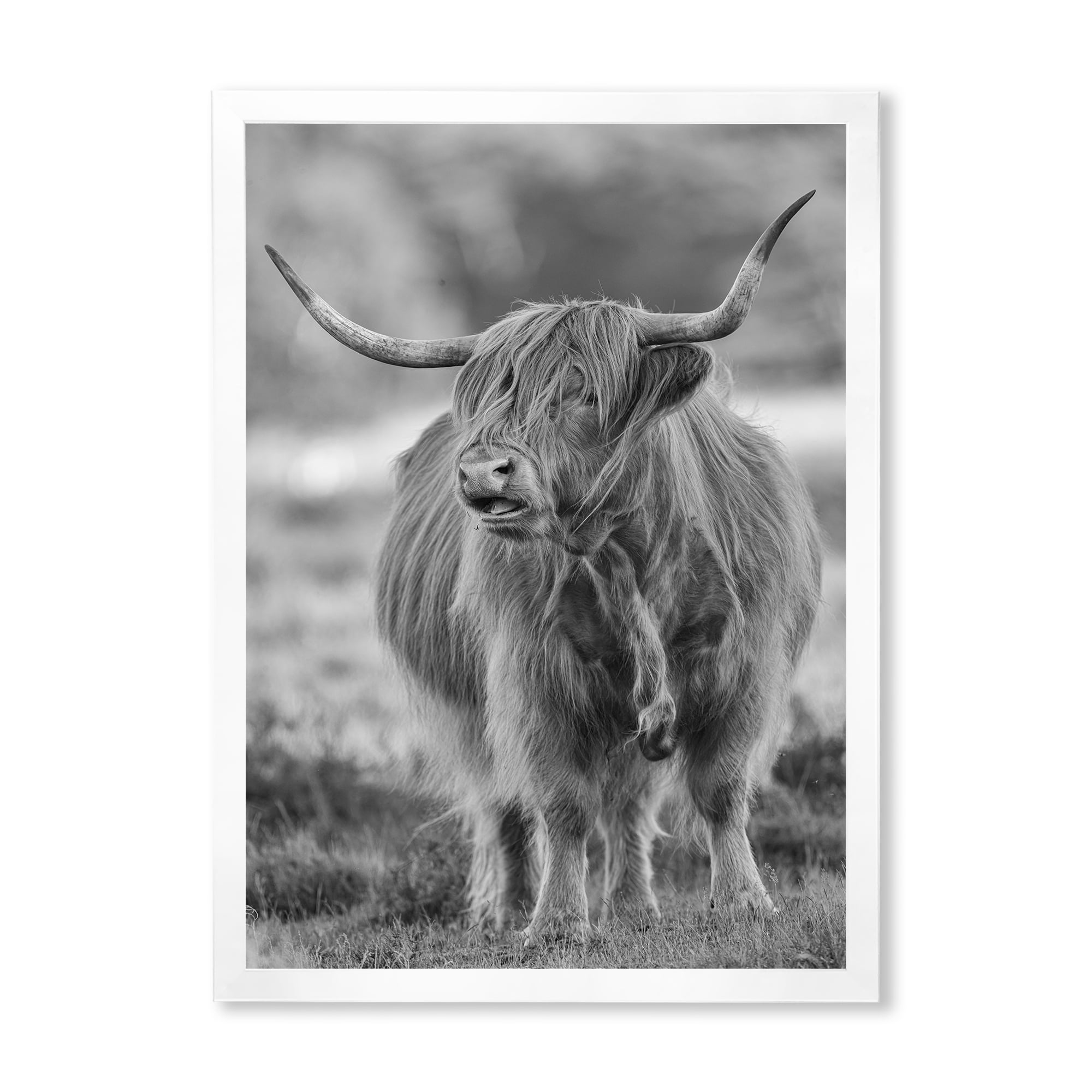 Designart 'Close Up View of Monochrome Bull' Farmhouse Framed Art Print