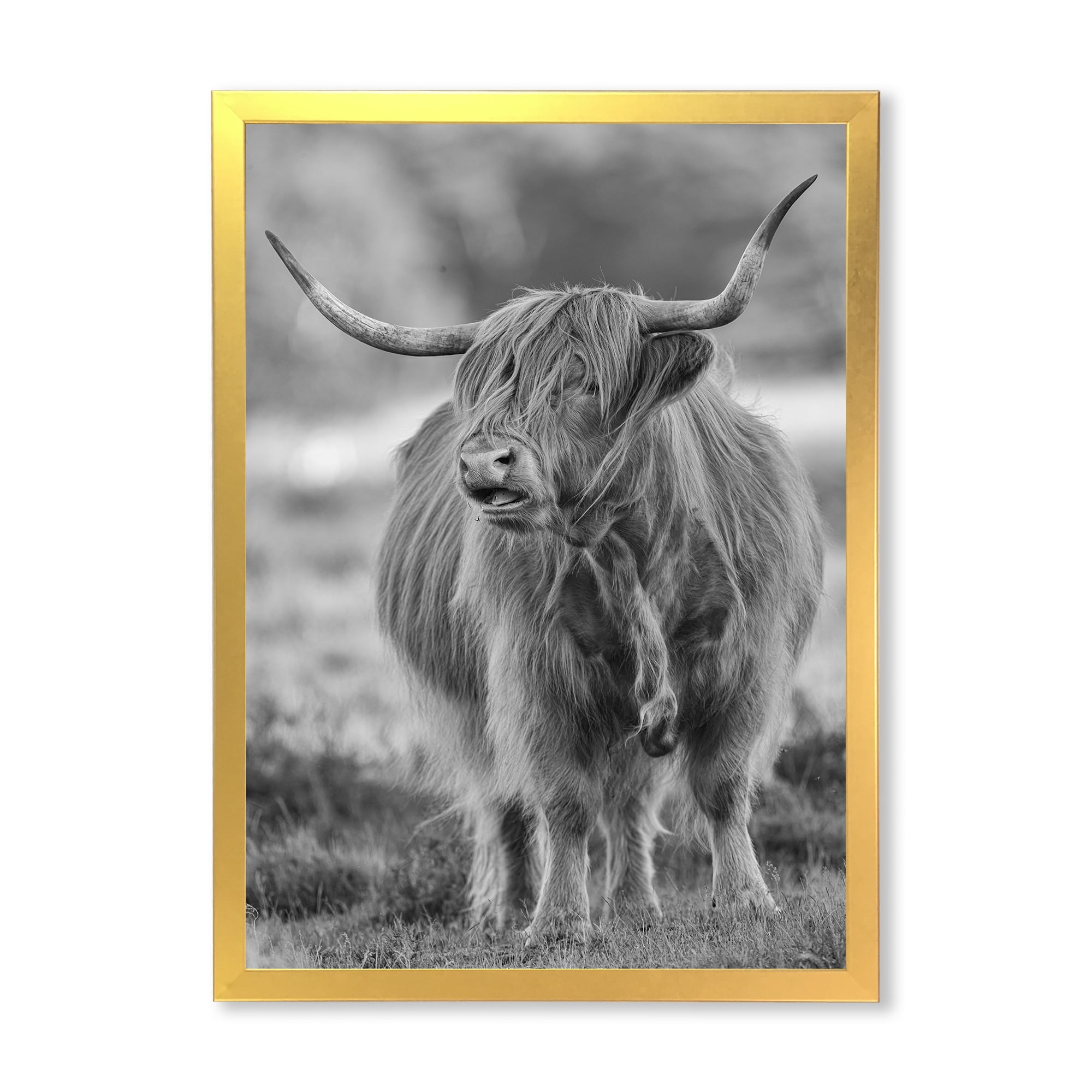 Designart 'Close Up View of Monochrome Bull' Farmhouse Framed Art Print
