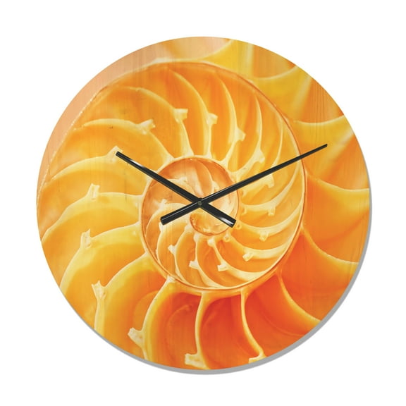 Designart 'Close Up Yellow Nautilus Shell' Modern Wood Wall Clock