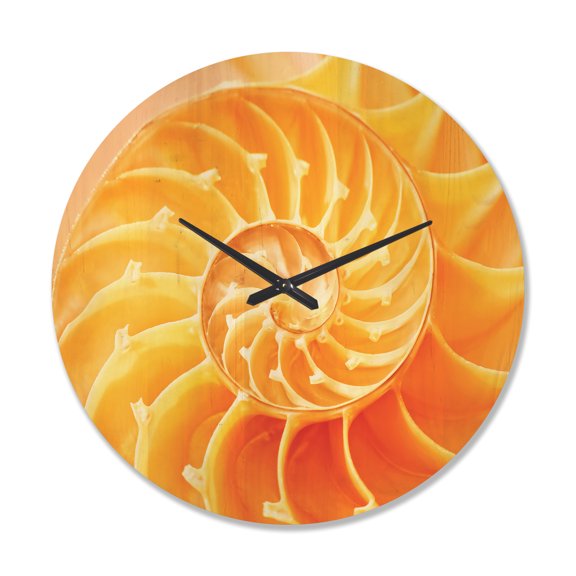 Designart 'Close Up Yellow Nautilus Shell' Modern Wood Wall Clock