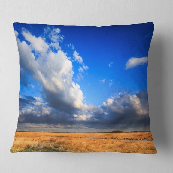 Designart Clouded Blue Sky over Prairie - Landscape Printed Throw Pillow - 16x16