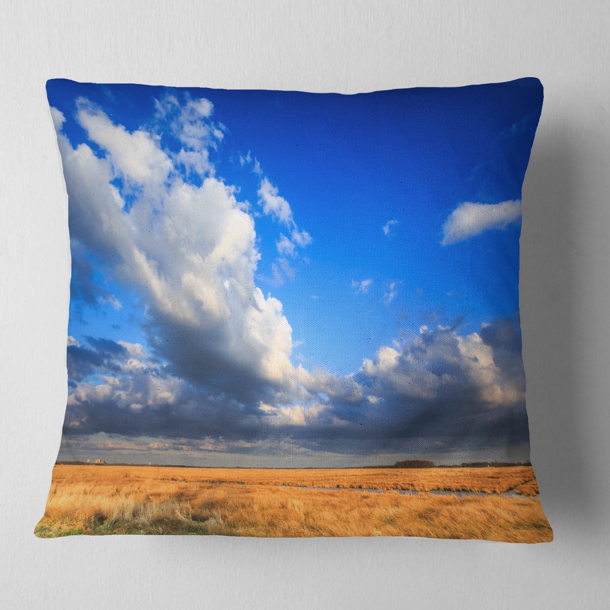 Designart Clouded Blue Sky over Prairie - Landscape Printed Throw Pillow - 18x18