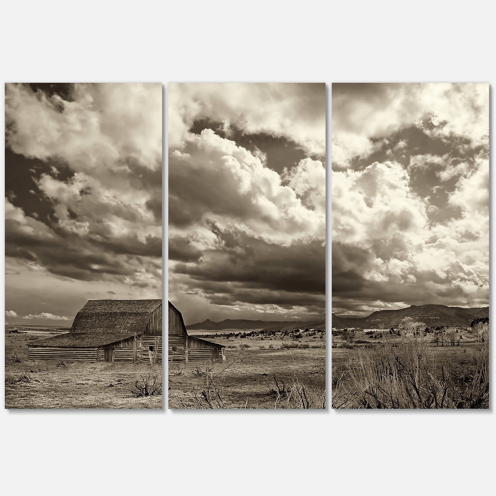 Designart ' Clouds After The Rain On The Prairie ' Traditional Canvas Wall Art Print