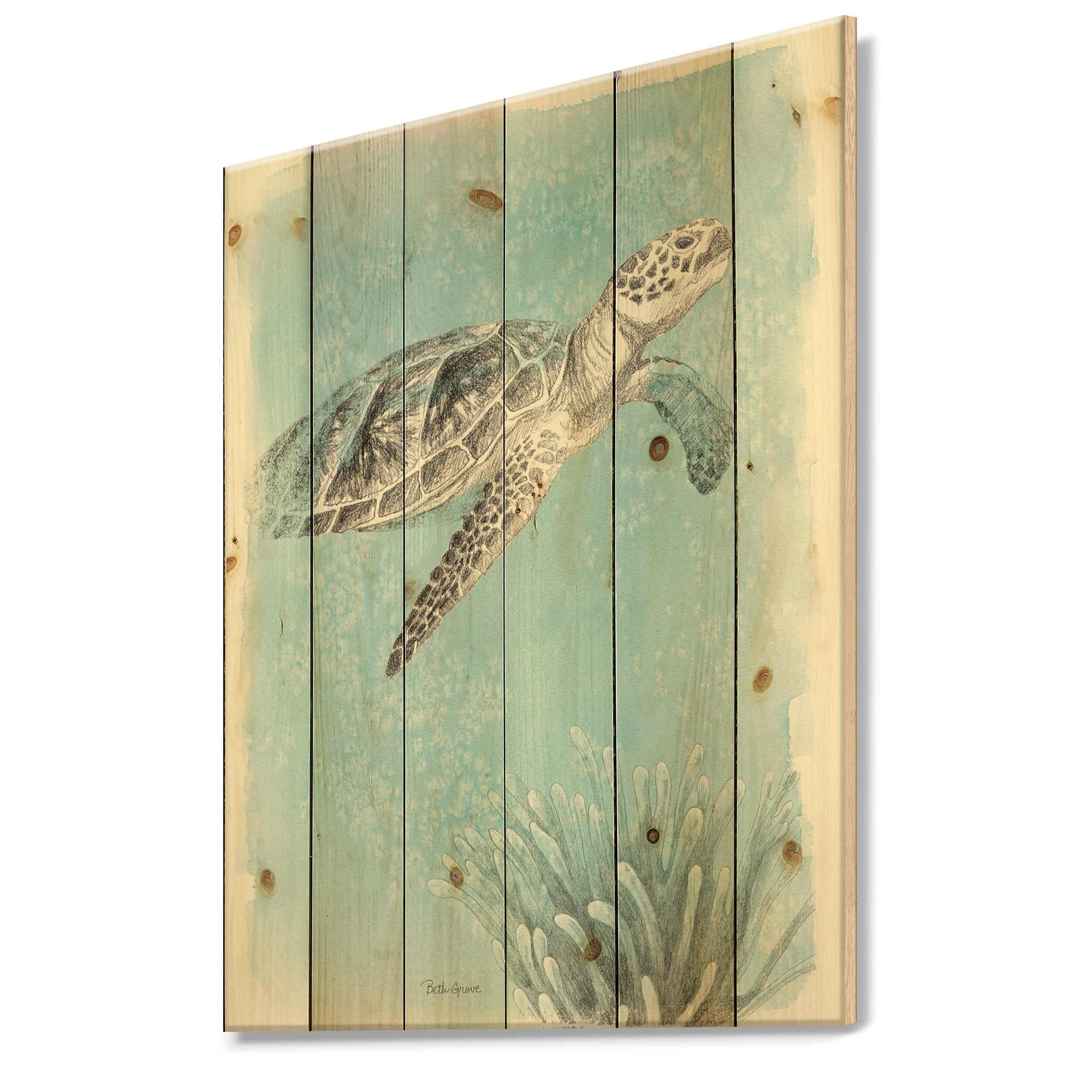 Designart Coastal Sea Life I Turtle Sketches Nautical Print on Natural Pine Wood Art Print, 30" x 40"
